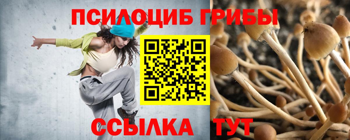 Галлюциногенные грибы Psilocybine cubensis  Вход с VPN  Владимир 